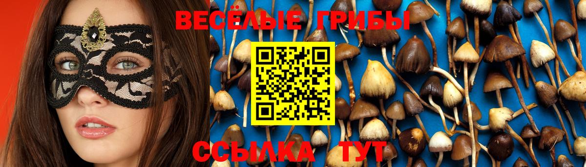 Галлюциногенные грибы Magic Shrooms Красногорск