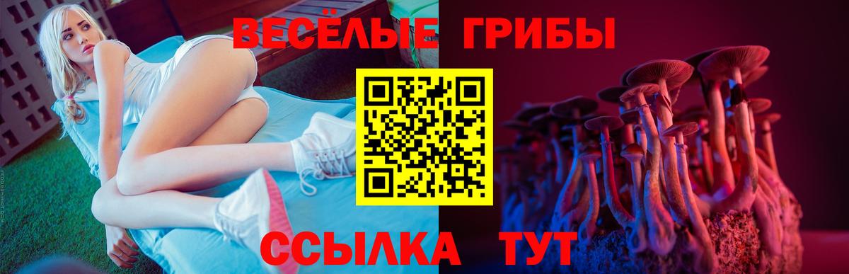 Псилоцибиновые грибы MAGIC MUSHROOMS  Галлюциногенные грибы мицелий  Красногорск  Вход с VPN 